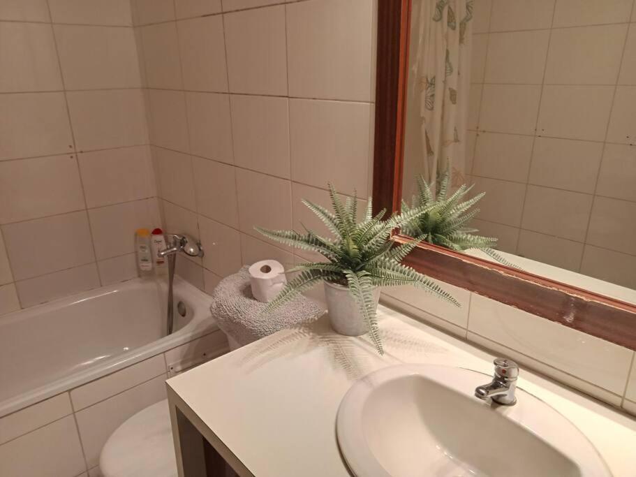 Apartamento 615- Departamento 2 Dorm + Parking Gratis